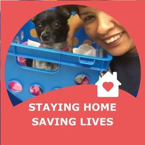 Meet your Posher, Alma